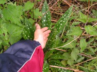 /album/decouvertes-en-balade/garderes2010-023-jpg/